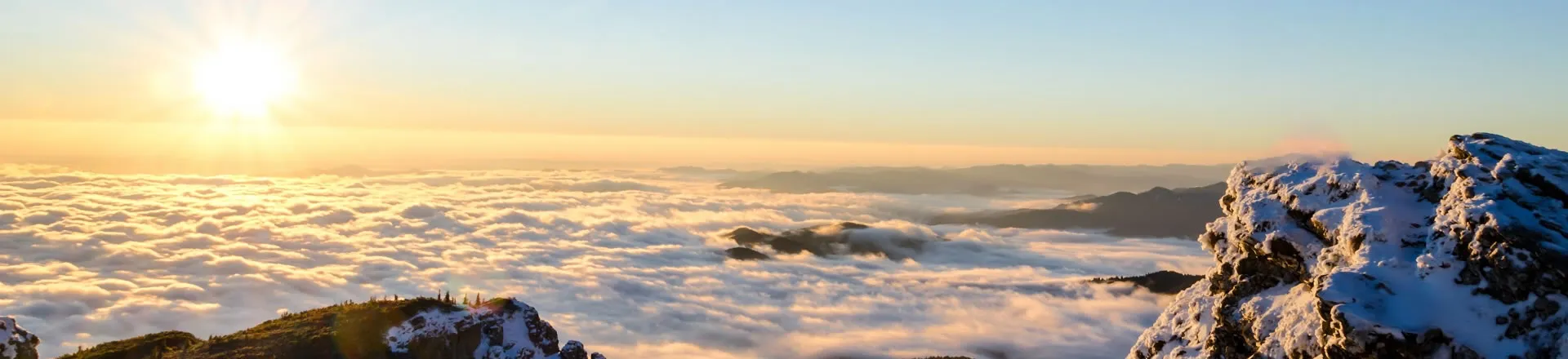 Triturador de troncos de madeira, triturador de tambor hidráulico de 12 polegadas, máquina trituradora de árvores